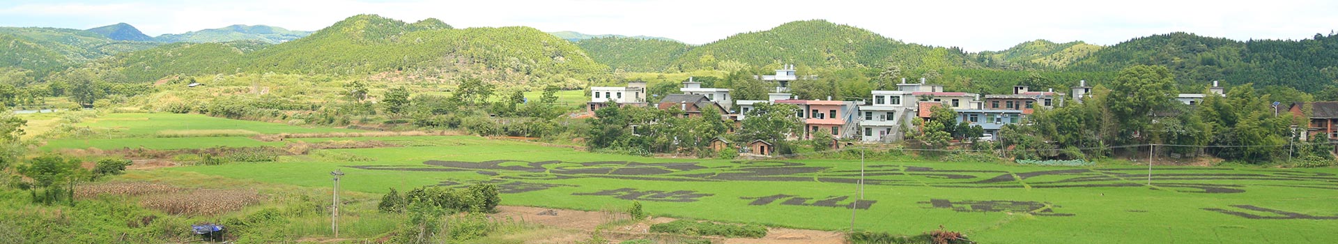 游客體驗